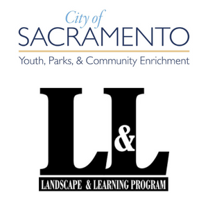 landscape and learning